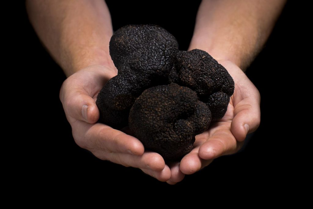 Manjimup Truffles Twodee Creative